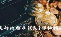 如何找回丢失的比特币钱包？详细指南与实用技