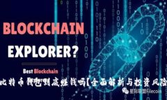 比特币钱包到底赚钱吗？全面解析与投资风险
