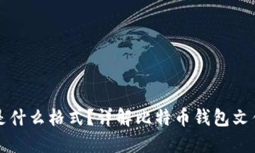 比特币钱包文件是什么格式？详解比特币钱包文件类型与使用指南