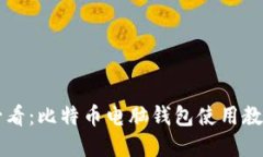 新手必看：比特币电脑钱包使用教程详解