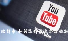 虚荣钱包与比特币：如何选择最适合你的加密货