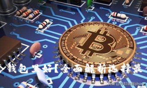 比特币放哪个钱包里好？全面解析选择最佳钱包的标准