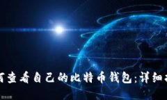如何查看自己的比特币钱包：详细指南
