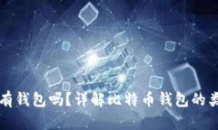 买了比特币会有钱包吗？详解比特币钱包的类型
