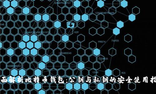 全面解析比特币钱包:公钥与私钥的安全使用指南
