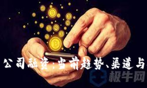 加密货币公司融资:当前趋势、渠道与挑战分析