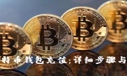 如何向比特币钱包充值：详细步骤与注意事项