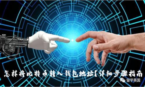 怎样将比特币转入钱包地址？详细步骤指南