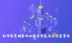 如何恢复删除的比特币钱包及其注意事项
