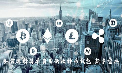 如何选择简单易用的比特币钱包：新手宝典
