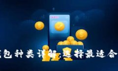 比特币个人钱包种类详解：选择最适合你的钱包