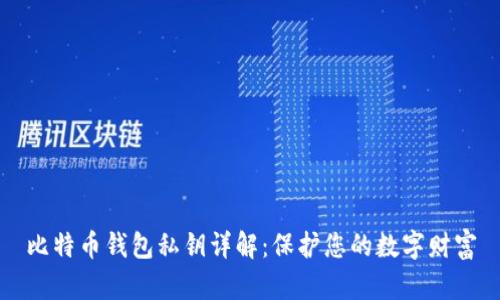 比特币钱包私钥详解:保护您的数字财富
