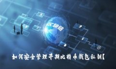 如何安全管理早期比特币钱包私钥？