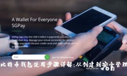 比特币钱包使用步骤详解:从创建到安全管理