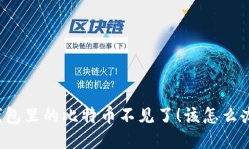 钱包里的比特币不见了！该怎么办？