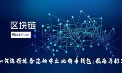 如何选择适合您的中文比特币钱包：指南与推荐