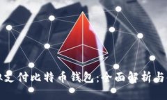 如何模拟支付比特币钱包：全面解析与使用指南
