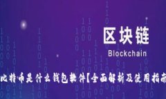 比特币是什么钱包软件？全面解析及使用指南