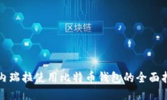 委内瑞拉使用比特币钱包的全面指南