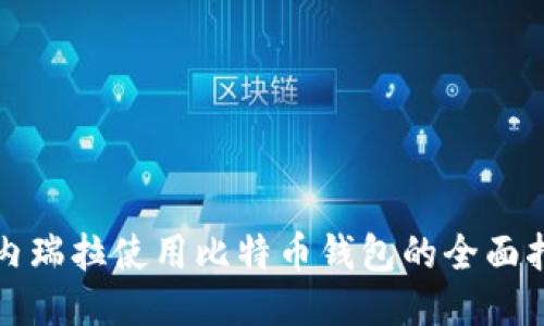 委内瑞拉使用比特币钱包的全面指南