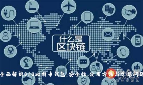 全面解析S10比特币钱包：安全性、使用方法与常见问题