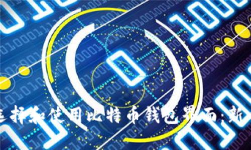 如何选择和使用比特币钱包界面：新手指南