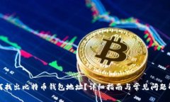 如何找出比特币钱包地址？详细指南与常见问题