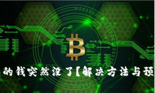 : 比特币钱包的钱突然没了？解决方法与预防措施全解析