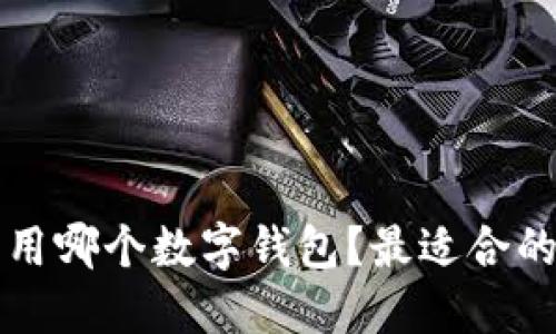 买比特币用哪个数字钱包？最适合的选择详解