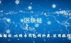 2023年全面解析：比特币钱包的种类、使用技巧与