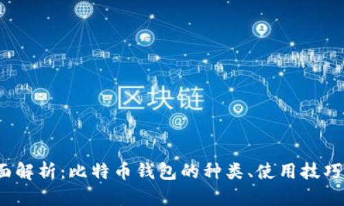 2023年全面解析：比特币钱包的种类、使用技巧与安全防护
