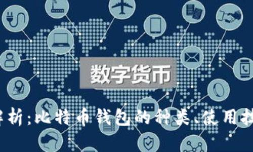 2023年全面解析：比特币钱包的种类、使用技巧与安全防护