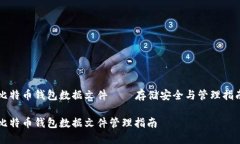 比特币钱包数据文件——存储安全与管理指南比
