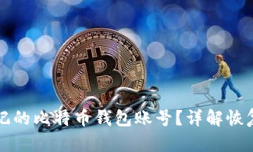 如何找回忘记的比特币钱包账号？详解恢复过程与方法