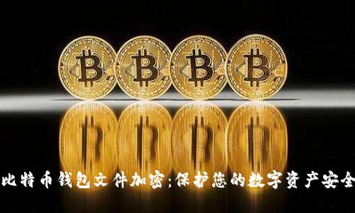 比特币钱包文件加密：保护您的数字资产安全