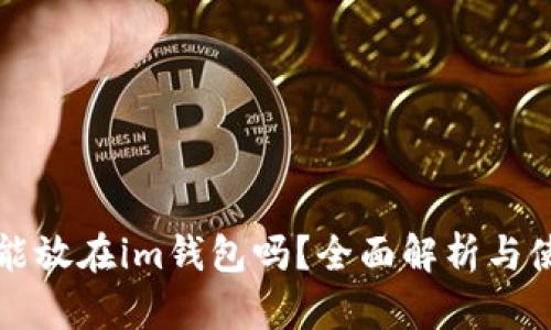 比特币能放在im钱包吗？全面解析与使用指南