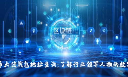 比特币大佬钱包地址查询：了解行业领军人物的数字资产
