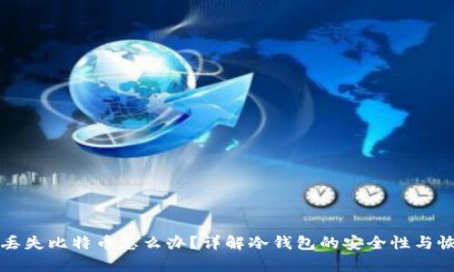 冷钱包丢失比特币怎么办?详解冷钱包的安全性与恢复方法