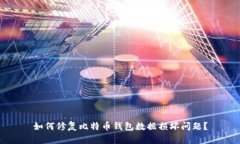 如何修复比特币钱包数据损坏问题？