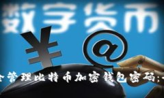 如何安全管理比特币加密钱包密码：全面指南