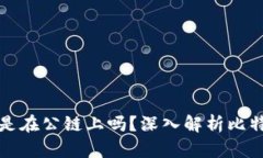 : 比特币钱包是在公链上吗？深入解析比特币钱包