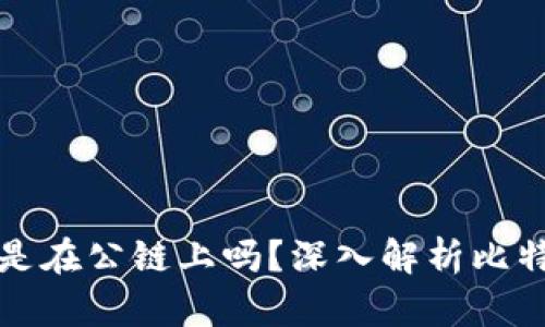 : 比特币钱包是在公链上吗?深入解析比特币钱包的本质