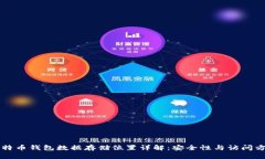 比特币钱包数据存储位置详解：安全性与访问方
