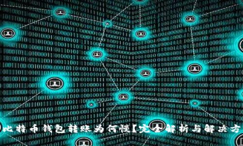 : 比特币钱包转账为何慢?完全解析与解决方案