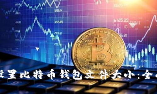 如何设置比特币钱包文件大小:全面指南