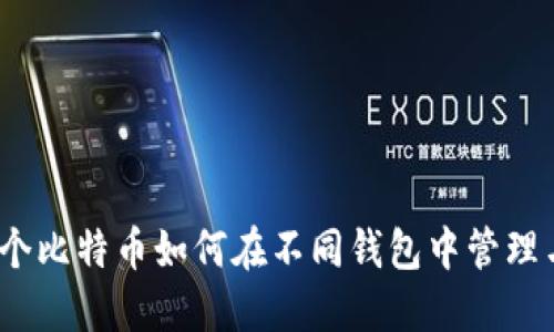 : 同一个比特币如何在不同钱包中管理与使用?
