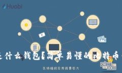 比特币是什么钱包？简单易懂的比特币钱包指南
