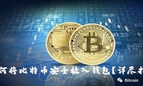 如何将比特币安全放入钱包?详尽指南