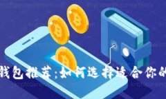 比特币主流钱包推荐：如何选择适合你的比特币