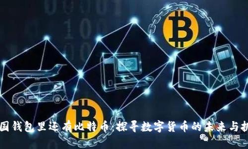 美国钱包里还有比特币:探寻数字货币的未来与挑战